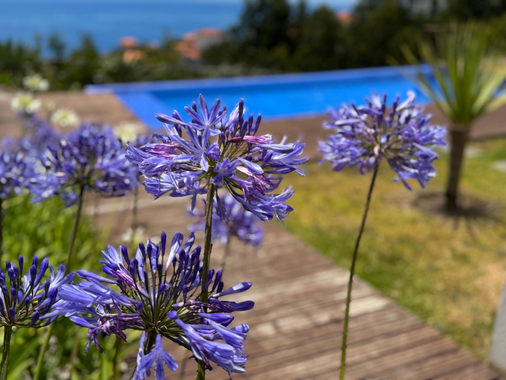 Modular Villa Calheta  Exterior photo